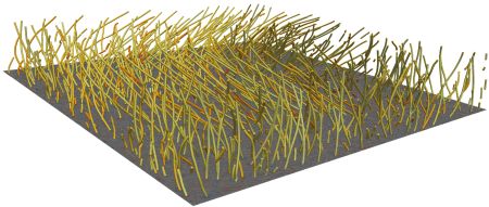 Locally Adapted Reference Frame Fields using Moving Least Squares